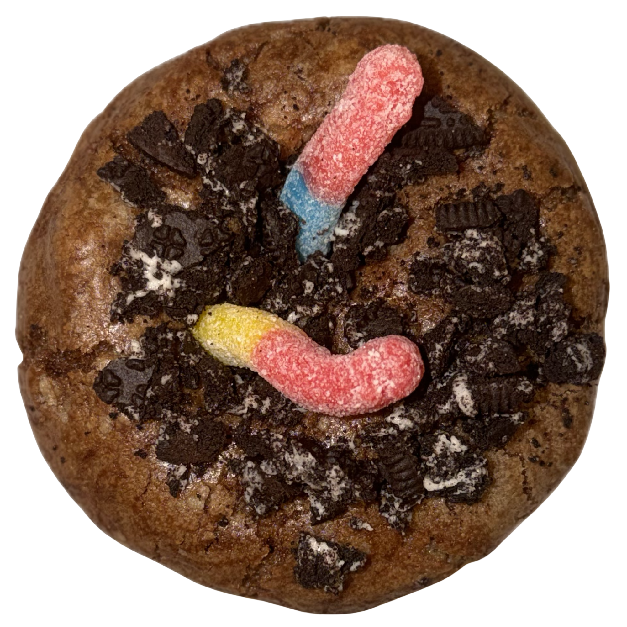 Dirt Worm Delight